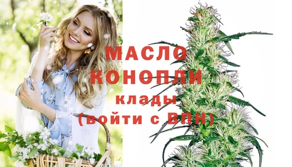 трава Новозыбков
