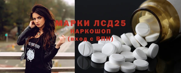 амф Новодвинск