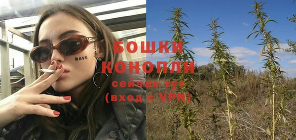 амф Новодвинск