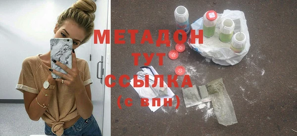 прущие грибы Няндома