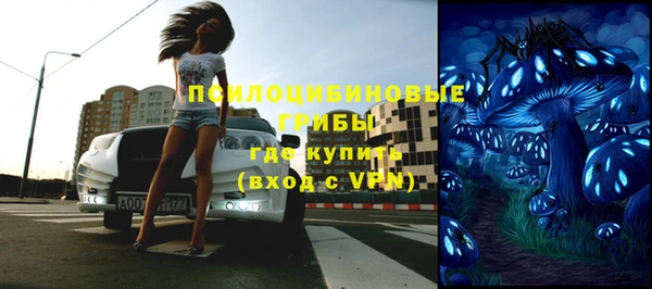 амф Новодвинск
