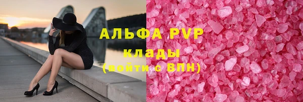 амф Новодвинск