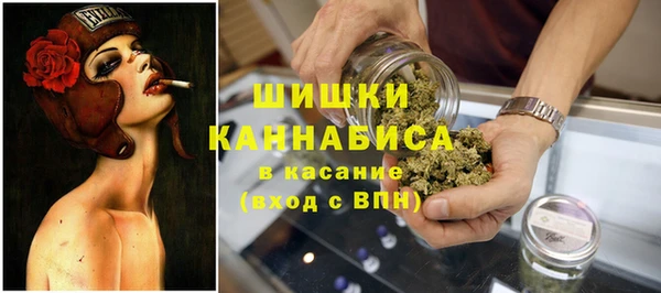 трава Новозыбков