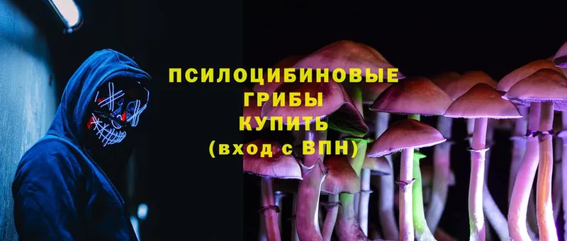 Галлюциногенные грибы Magic Shrooms  mega ссылка  Улан-Удэ 