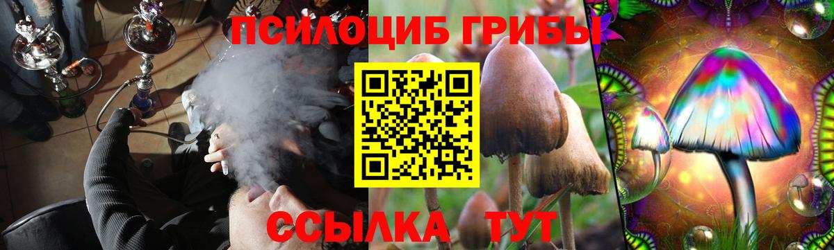 Улан-Удэ  Галлюциногенные грибы мицелий  Вход с VPN 