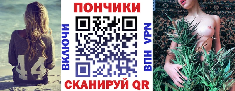 Бошки Шишки план  дарнет шоп  Улан-Удэ 